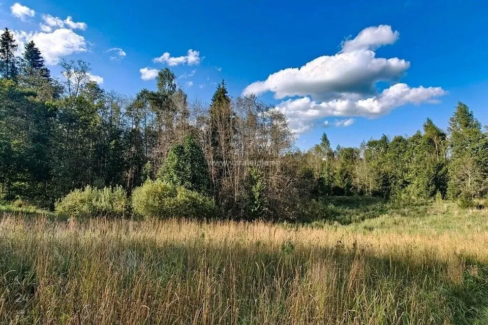 Maatulundusmaa, 58809 m² Maa  -  Otepää vald, Sihva küla - foto 5