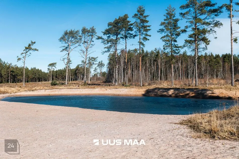 Maatulundusmaa, 7116 m² Maa  -  Saaremaa vald, Järve küla - foto 3