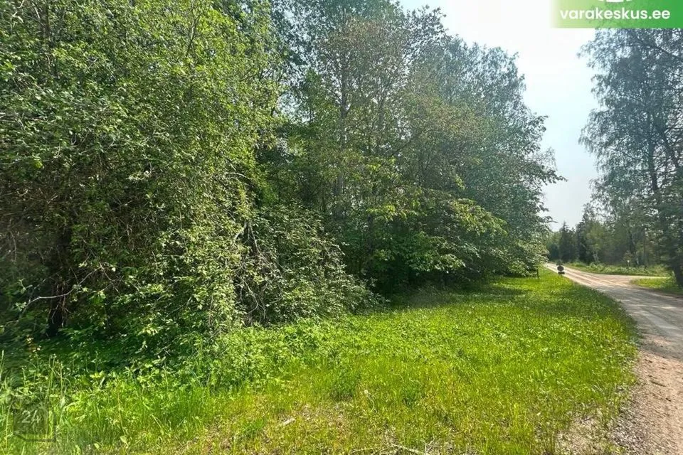 Maatulundusmaa, 3177 m² Maa - Türi vald, Saueaugu küla - foto 5