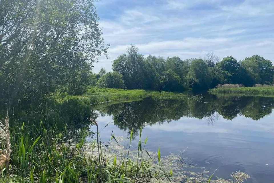 Maatulundusmaa, 51200 m² Maa  -  Türi vald, Jändja küla - foto 5