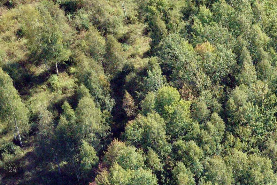 Maatulundusmaa, 6412 m² Maa  -  Mustvee vald, Lohusuu alevik - foto 3