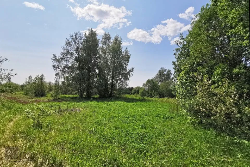 Elamumaa, 21766 m² Maa  -  Tori vald, Nurme küla - foto 2