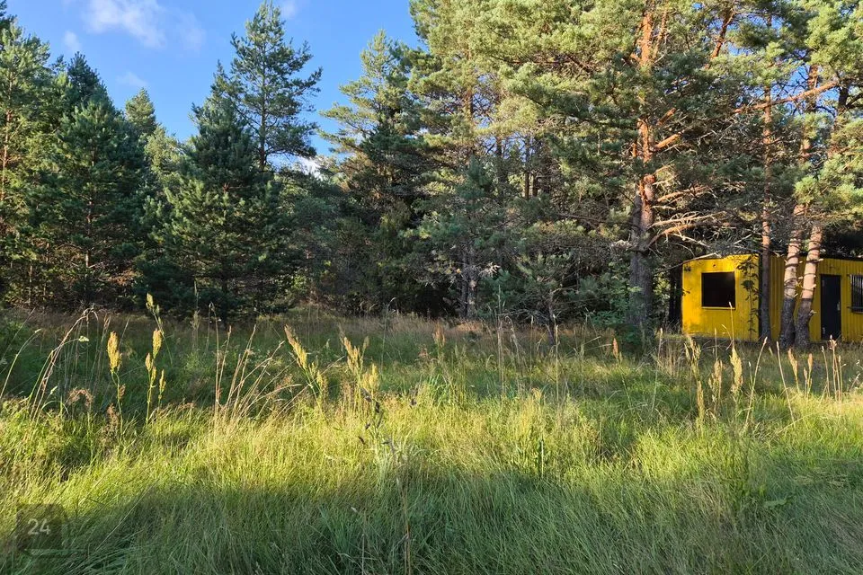 Земля жилой застройки, 14168 m² участок в Lääne-Nigula vald, Variku küla - фото 3