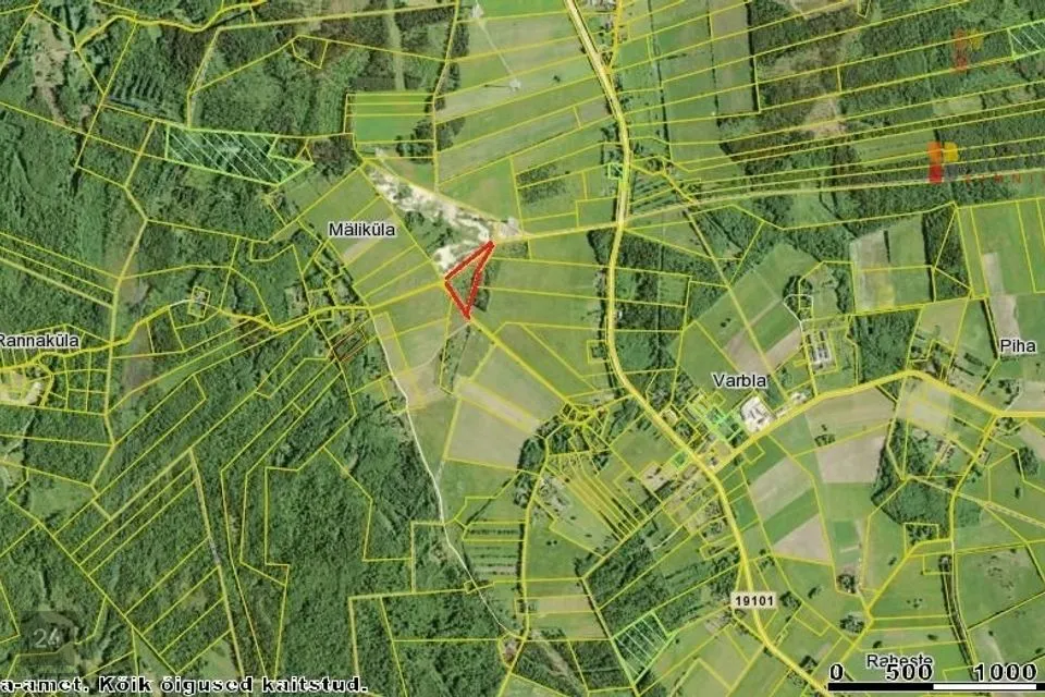 Maatulundusmaa, 24200 m² участок в Lääneranna vald, Mäliküla - фото 2