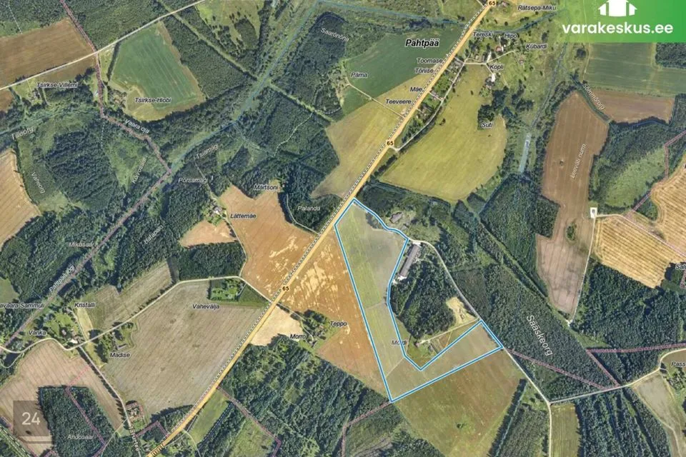 Maatulundusmaa, 138152 m² участок в Räpina vald, Pahtpää küla