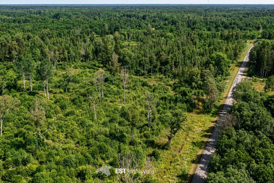 Maatulundusmaa, 10012 m² участок в Lääneranna vald, Rädi küla - фото 3