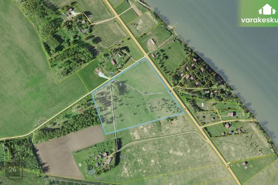 Maatulundusmaa, 52751 m² Maa  -  Peipsiääre vald, Kodavere küla - foto 4
