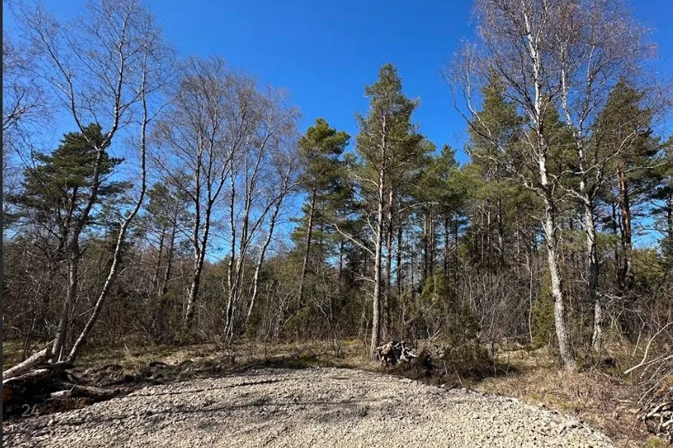 Elamumaa, 16823 m² Maa - Lääneranna vald, Virtsu alevik