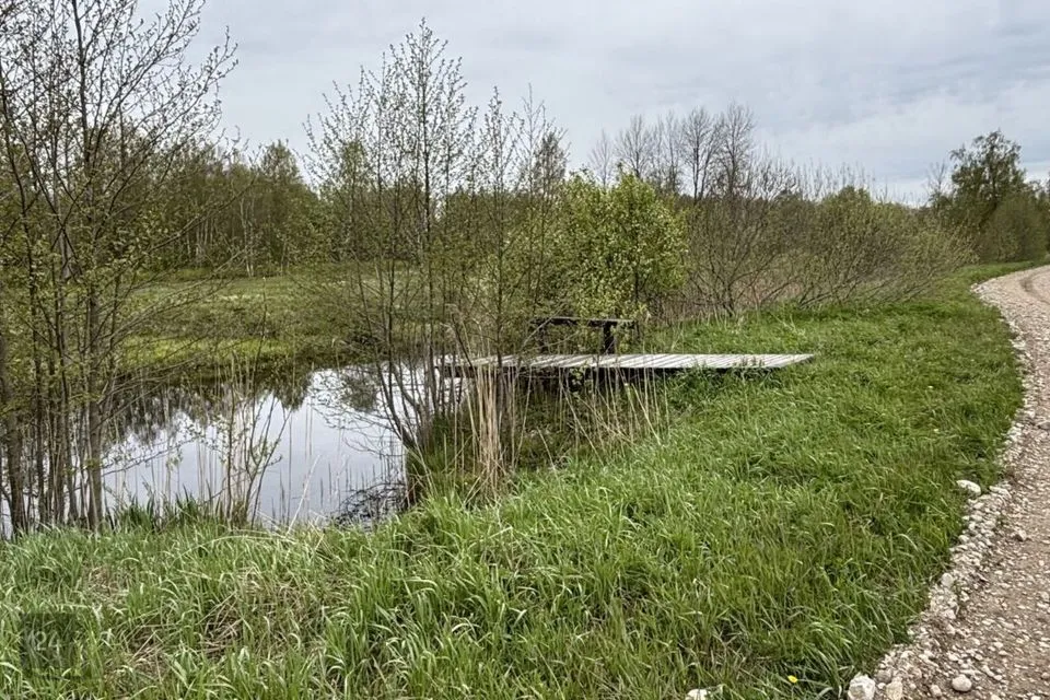 Maatulundusmaa, 115281 m² участок в Rapla vald, Lõiuse küla