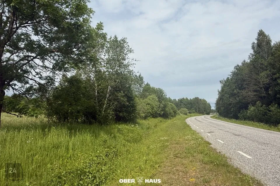 9994 m² Maa - Alutaguse vald, Jaama küla