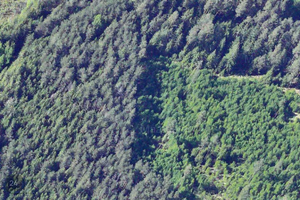 Maatulundusmaa, 94885 m² Maa  -  Setomaa vald, Nedsaja küla