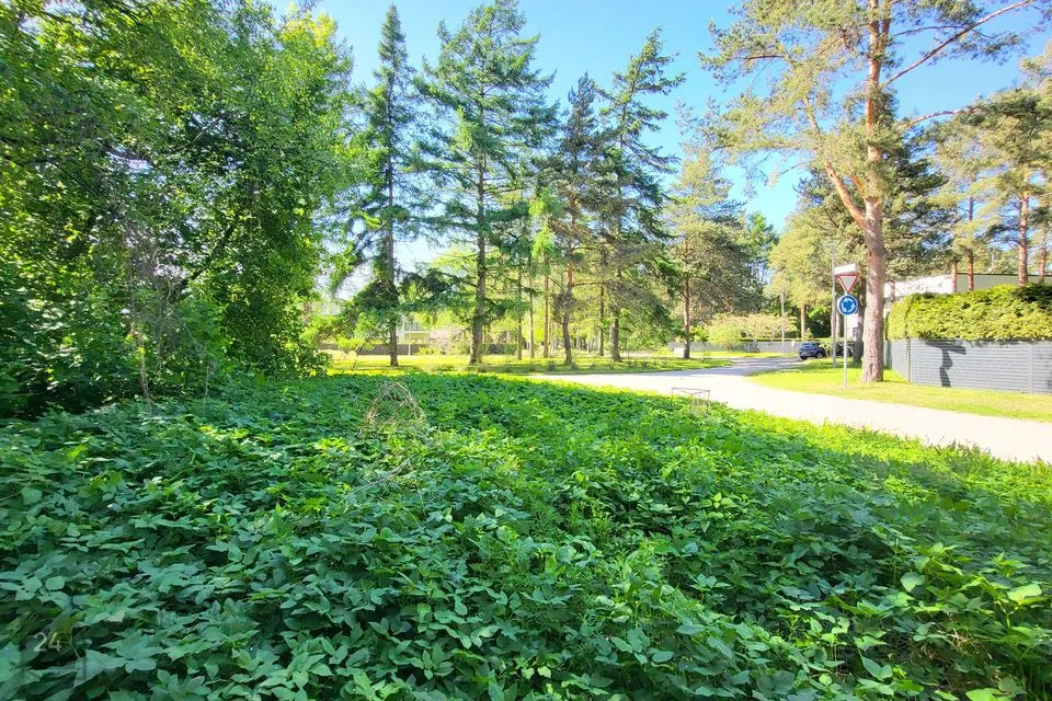 Земля жилой застройки, 1500 m² участок в Viimsi vald, Laiaküla - фото 3