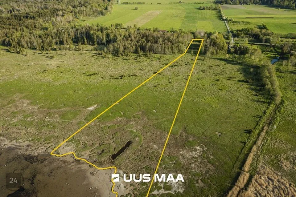 Maatulundusmaa, 33276 m² Maa  -  Saaremaa vald, Parasmetsa küla - foto 2