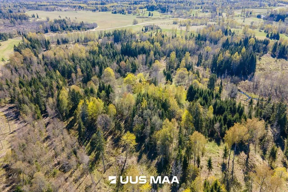 Maatulundusmaa, 24238 m² Maa - Otepää vald, Kaurutootsi küla - foto 2
