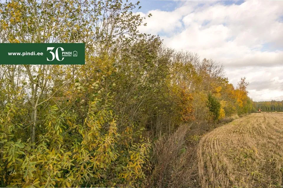 Maatulundusmaa, 10139 m² Maa  -  Lääneranna vald, Ullaste küla - foto 4