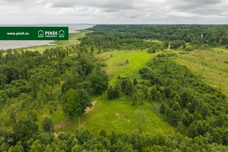 Maatulundusmaa, 3099 m² Maa - Viru-Nigula vald, Kalvi küla - foto 5