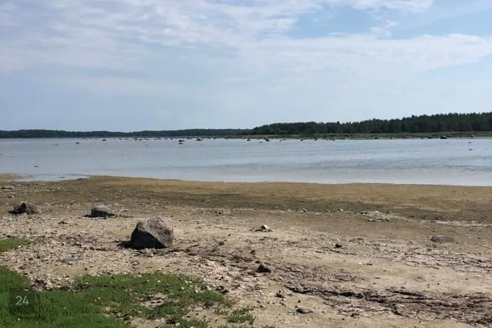 Maatulundusmaa, 52300 m² участок в Vormsi vald, Borrby küla - фото 2