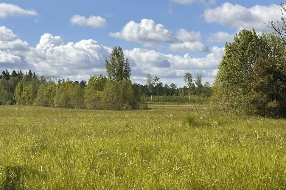 Maatulundusmaa, 10061 m² Maa  -  Saue vald, Madila küla - foto 2