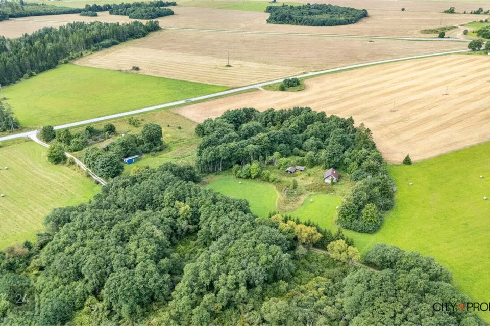 Maatulundusmaa, 65771 m² Maa  -  Raasiku vald, Perila küla - foto 2