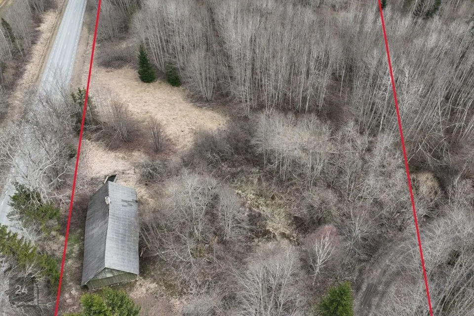 Земля жилой застройки, 5000 m² участок в Põhja-Pärnumaa vald, Viluvere küla - фото 4