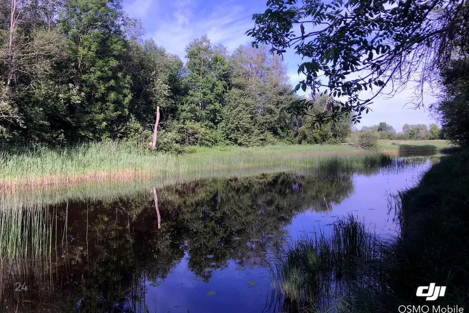 Elamumaa, 1603 m² Maa  -  Märjamaa vald, Velise küla - foto 2