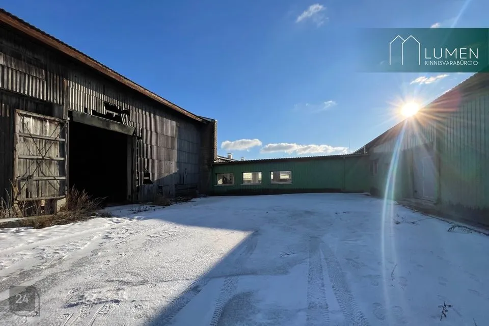 6500 m² business in Lääne-Nigula vald, Vidruka küla - photo 3
