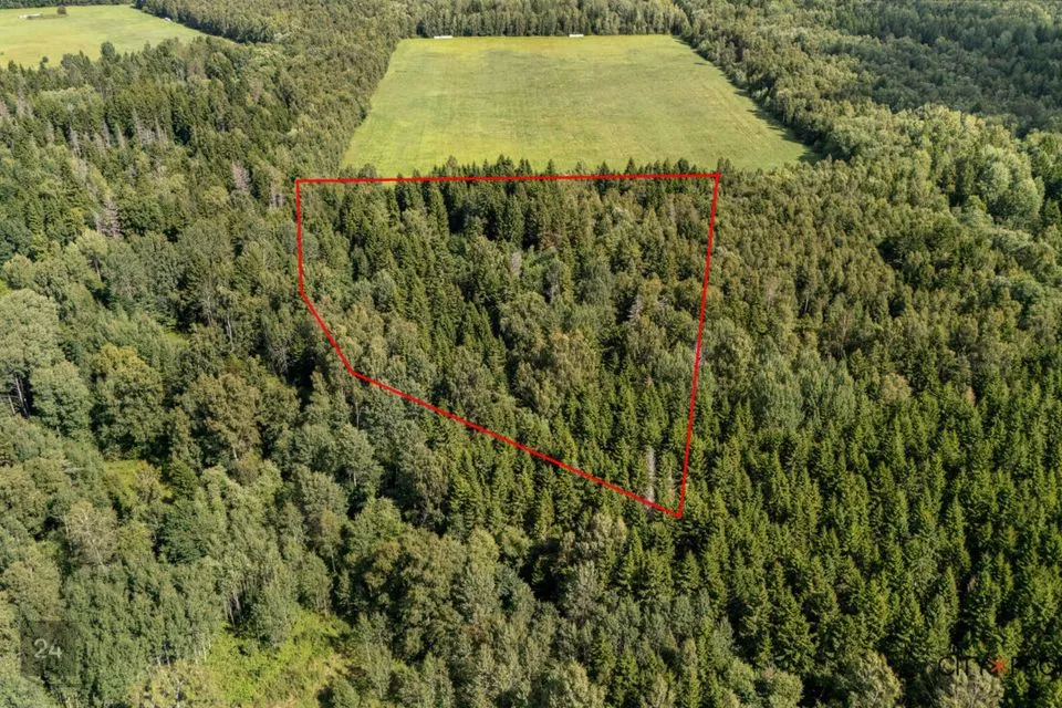 Maatulundusmaa, 20190 m² Maa - Lääne-Harju vald, Nahkjala küla - foto 3