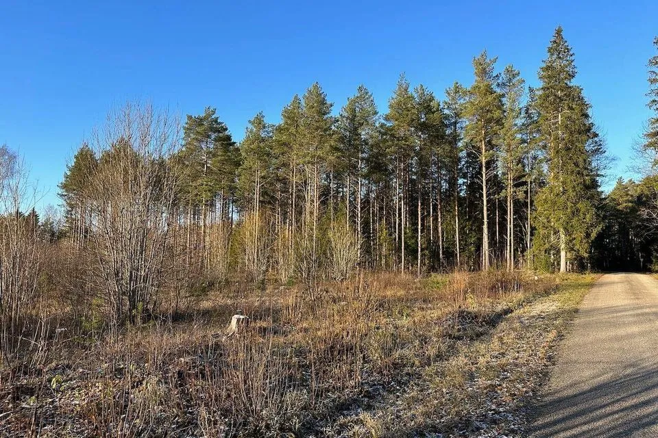 Maatulundusmaa, 62300 m² Maa - Saue vald, Ürjaste küla