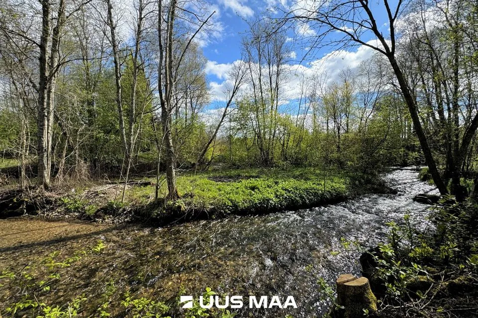 3-toaline Maja - Vinni vald, Vetiku küla - foto 4