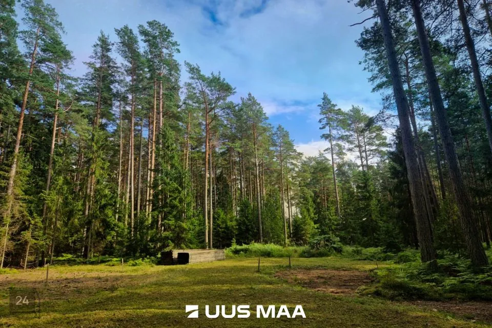 Elamumaa, 10097 m² Maa  -  Hiiumaa vald, Kalana küla - foto 3