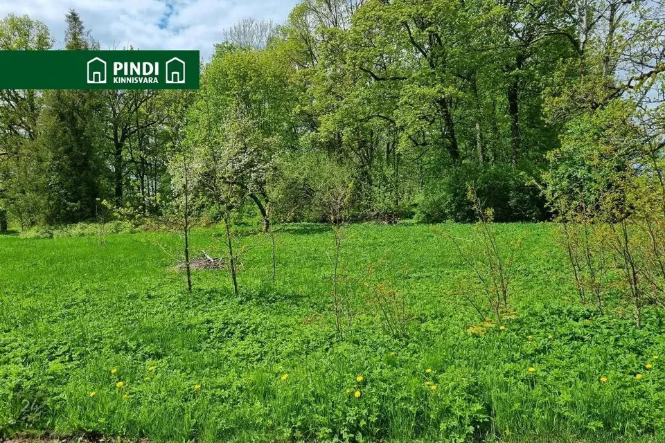Unspecified land, 4523 m² land in Väike-Maarja vald, Pandivere küla - photo 5