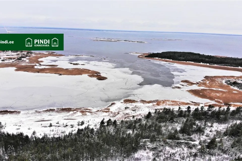 Maatulundusmaa, 98800 m² участок в Lääneranna vald, Esivere küla - фото 3