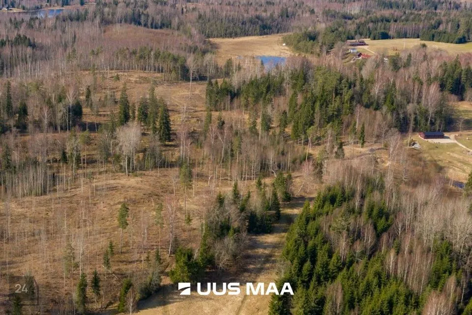 Maatulundusmaa, 26032 m² Maa - Otepää vald, Kaurutootsi küla - foto 3