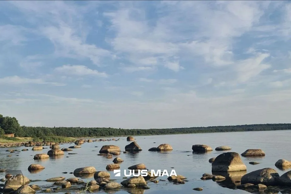 Elamumaa, 9526 m² Maa  -  Kuusalu vald, Pedaspea küla - foto 3