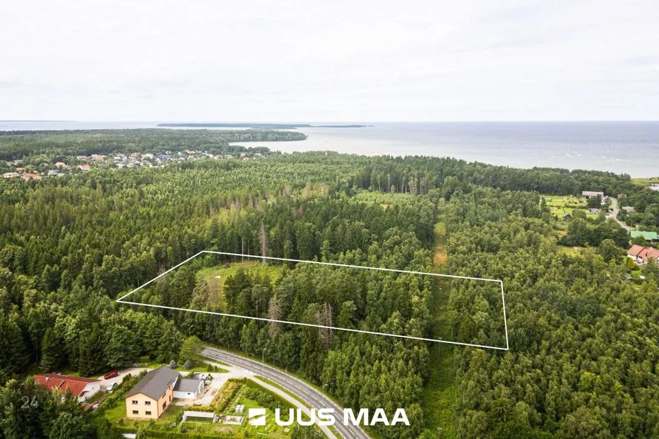 Maatulundusmaa, 12460 m² Maa  -  Viimsi vald, Leppneeme küla - foto 2