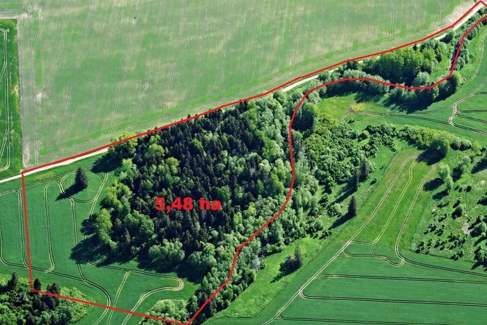 Maatulundusmaa, 54800 m² участок в Jõgeva vald, Võduvere küla - фото 2