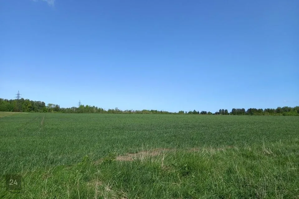 Maatulundusmaa, 32500 m² Maa  -  Rae vald, Tuulevälja küla