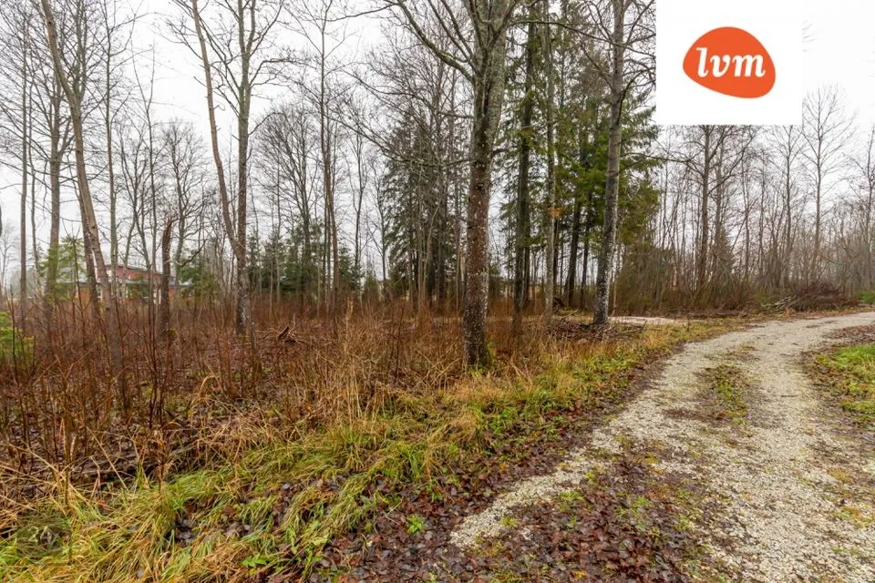 Земля жилой застройки, 14341 m² участок в Rapla vald, Juuru alevik - фото 5