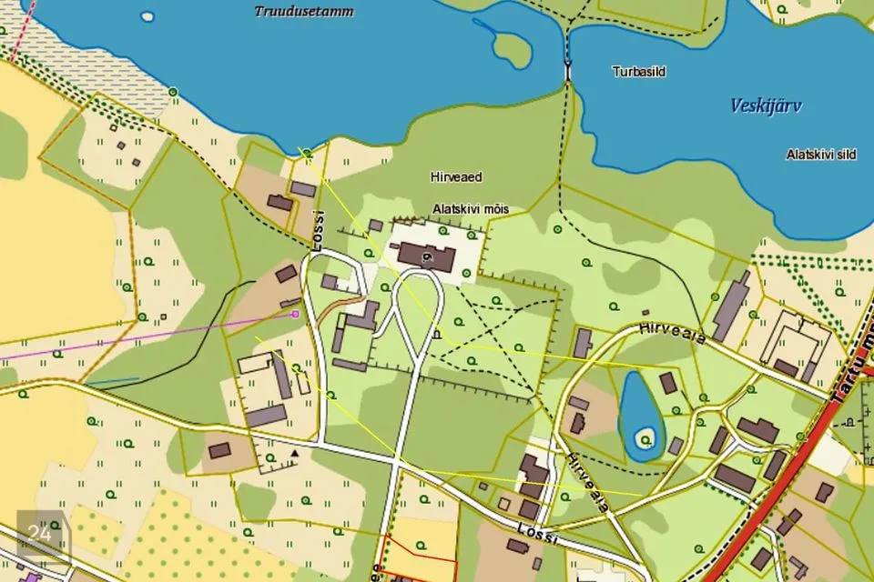 Elamumaa, 2055 m² Maa  -  Peipsiääre vald, Alatskivi alevik - foto 2