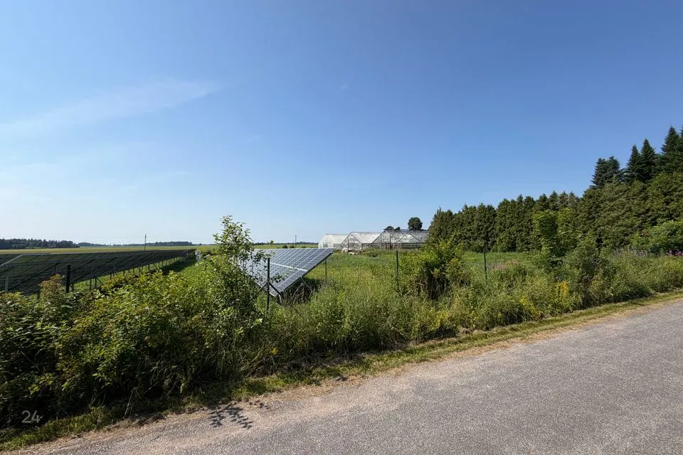 Tootmismaa, 12540 m² Maa - Järva vald, Aravete alevik - foto 3