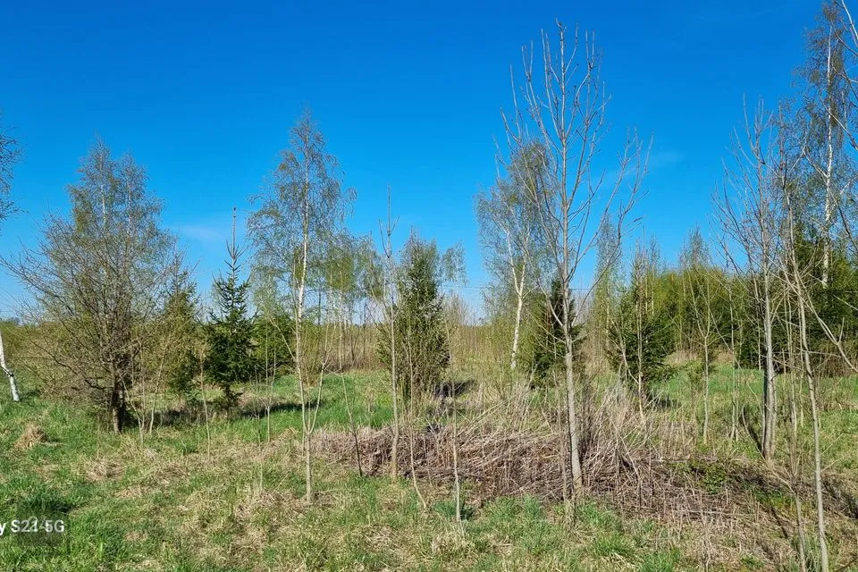 Maatulundusmaa, 21300 m² Maa  -  Peipsiääre vald, Kokanurga küla - foto 2