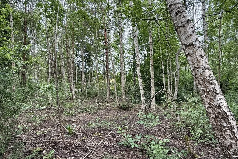 Земля жилой застройки, 1701 m² участок в Saue vald, Kibuna küla - фото 5