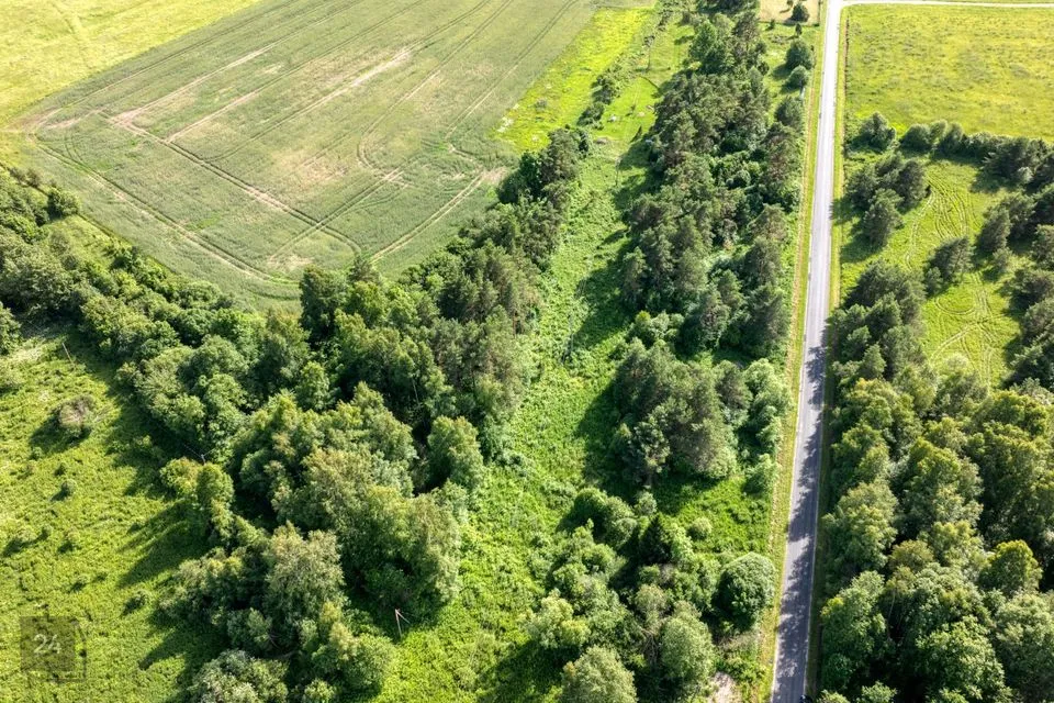 Elamumaa, 12557 m² Maa - Lääne-Nigula vald, Paslepa küla / Pasklep - foto 3