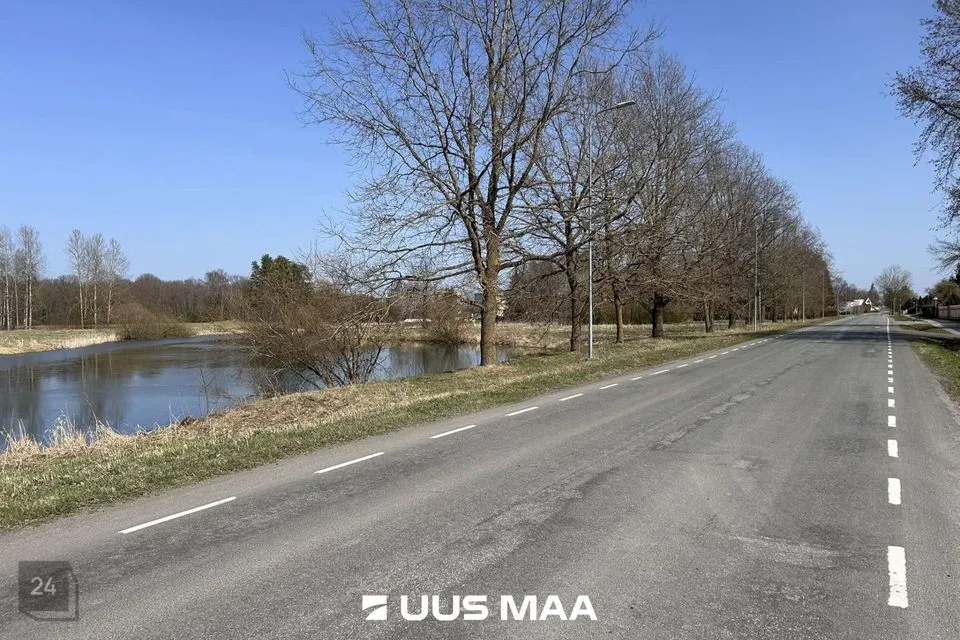 Elamumaa, 1584 m² Maa - Haljala vald, Haljala alevik - foto 3