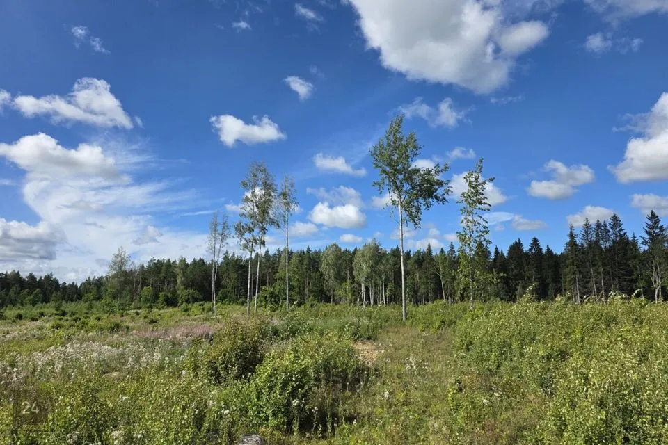 Maatulundusmaa, 42044 m² Maa - Lääne-Harju vald, Ohtu küla - foto 4