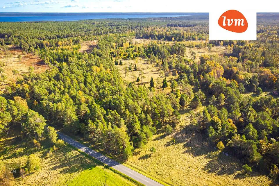 Maatulundusmaa, 90310 m² Maa  -  Saaremaa vald, Tagamõisa küla - foto 4