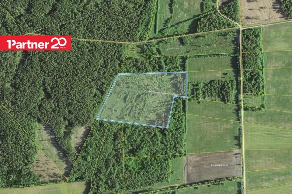 Maatulundusmaa, 62830 m² Maa  -  Saaremaa vald, Pärsama küla - foto 4