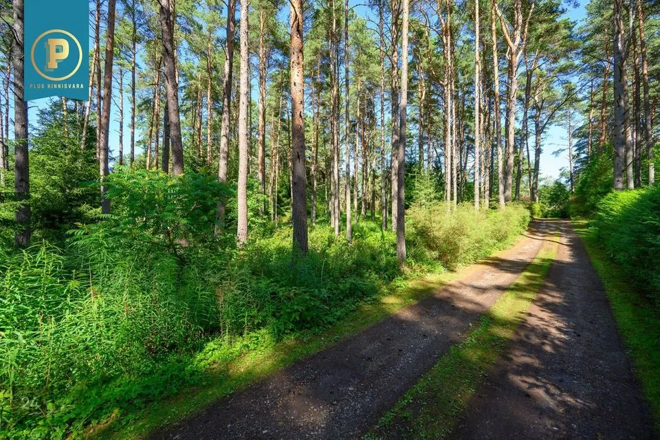 Maatulundusmaa, 1801 m² Maa - Tallinn, Pirita linnaosa