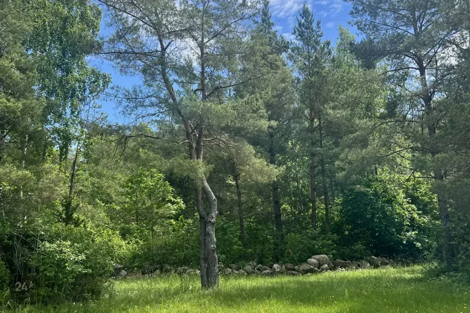 Elamumaa Maa  -  Muhu vald, Pallasmaa küla - foto 4