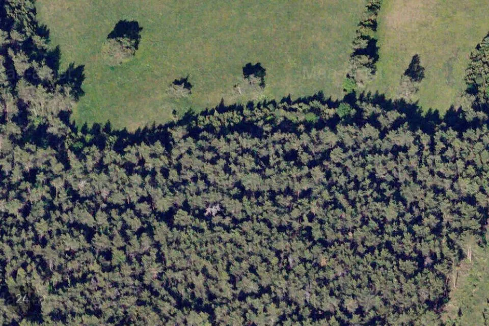 Maatulundusmaa, 41102 m² Maa  -  Saaremaa vald, Kõrkvere küla - foto 4